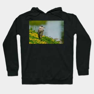 Blue Heron Hoodie